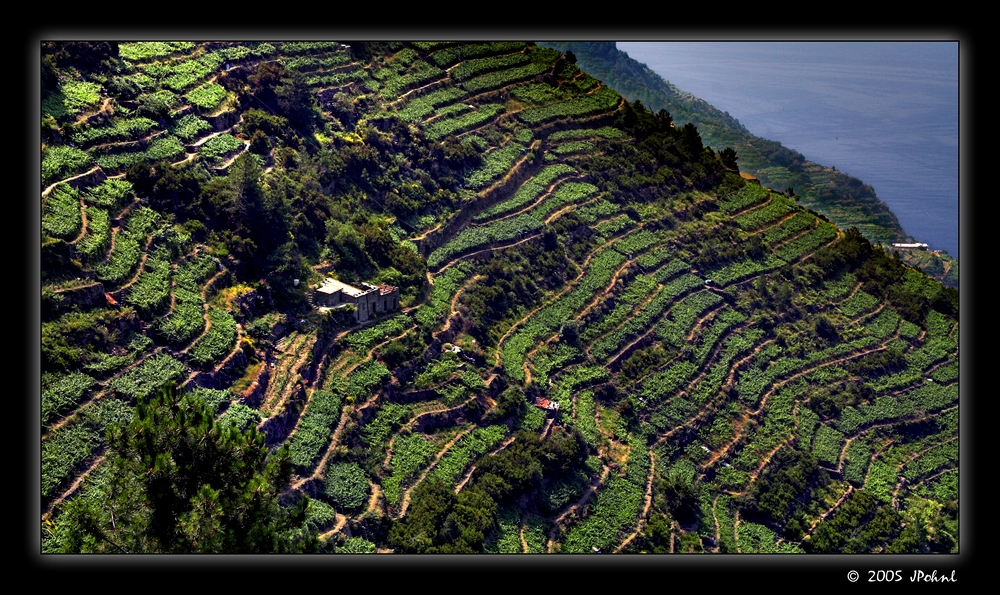 Cinque Terre